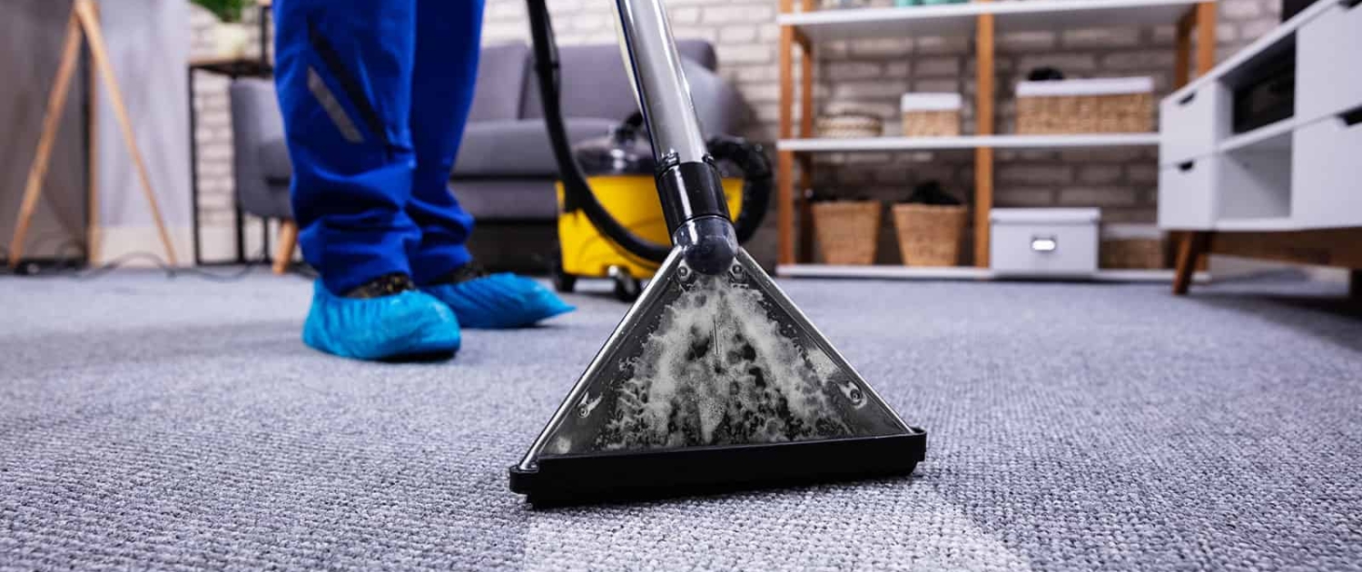 carpet extractor cleaning carpet