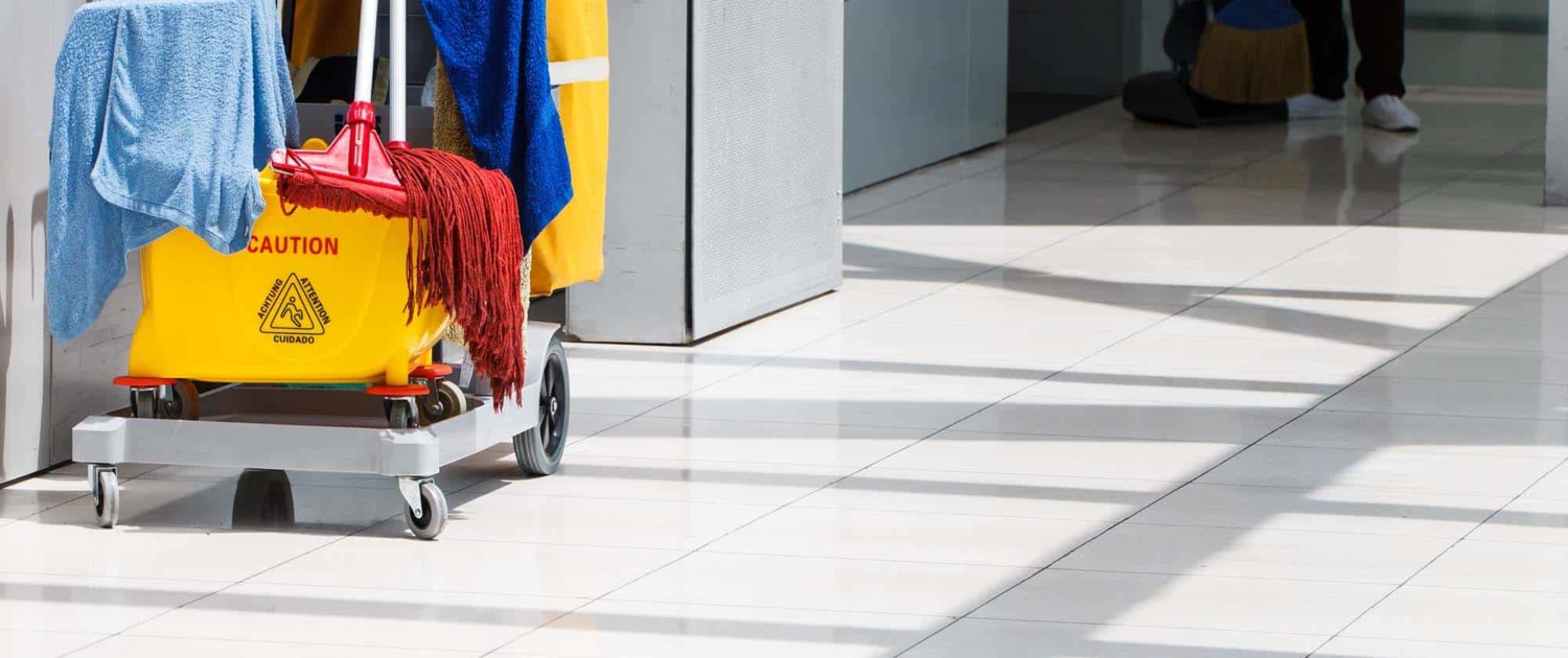 Mop bucket and cleaning