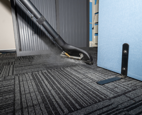 Steam Carpet Cleaning. Professional Carpet War, Water Extraction